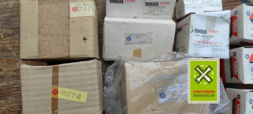 IMG_20230828_110553